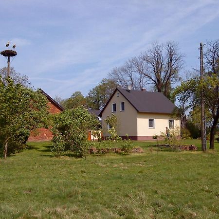 Ferienwohnung Am Storchennest Schmogrow Bagian luar foto