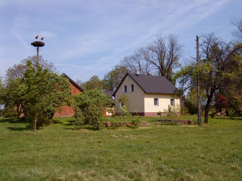 Ferienwohnung Am Storchennest Schmogrow Bagian luar foto